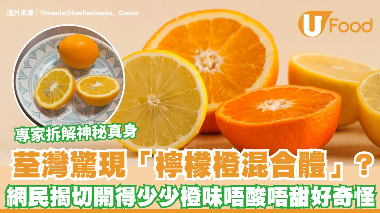 荃灣驚現「檸檬橙混合體」？切開得少少橙味唔酸唔甜 專家拆解神秘真身