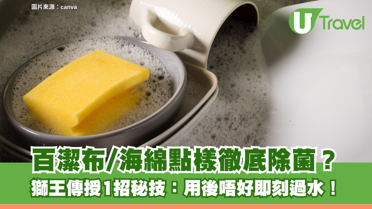 日本冷知識｜百潔布/海綿點樣徹底除菌？獅王傳授1招秘技：用後唔好即刻過水！