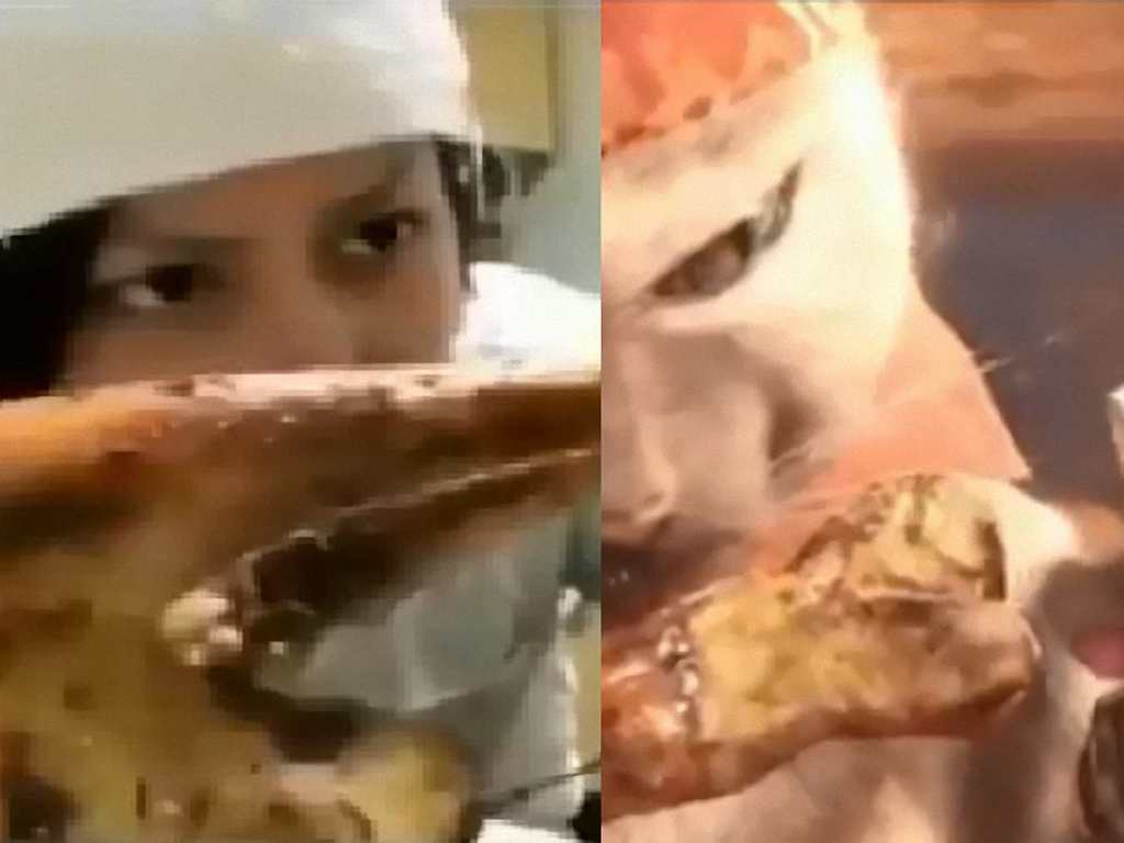 《MHW》貓飯真人影片！「Chok 爆」烹調過程忠實呈現