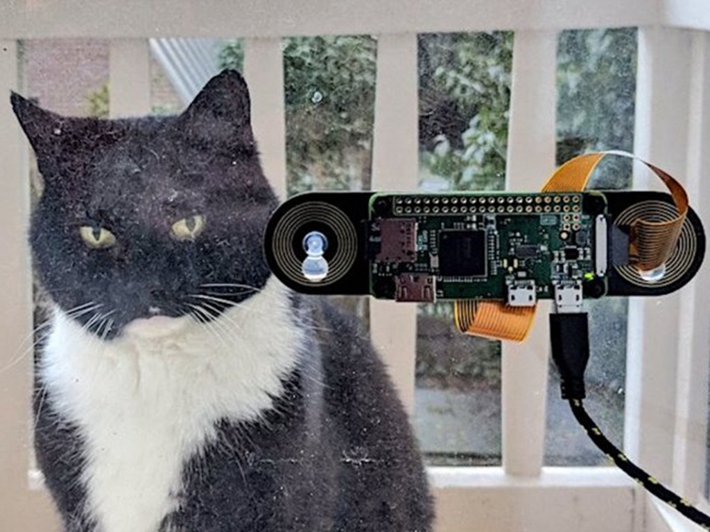 工程師設計貓臉識別門鐘 自動傳短訊叫貓奴開門