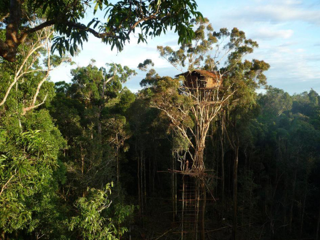 BBC 承認《Human Planet》紀錄片造假！「原住民樹屋」竟是道具？
