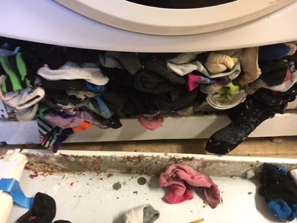 洗衣機會「食」襪？經常離奇失襪必須留意