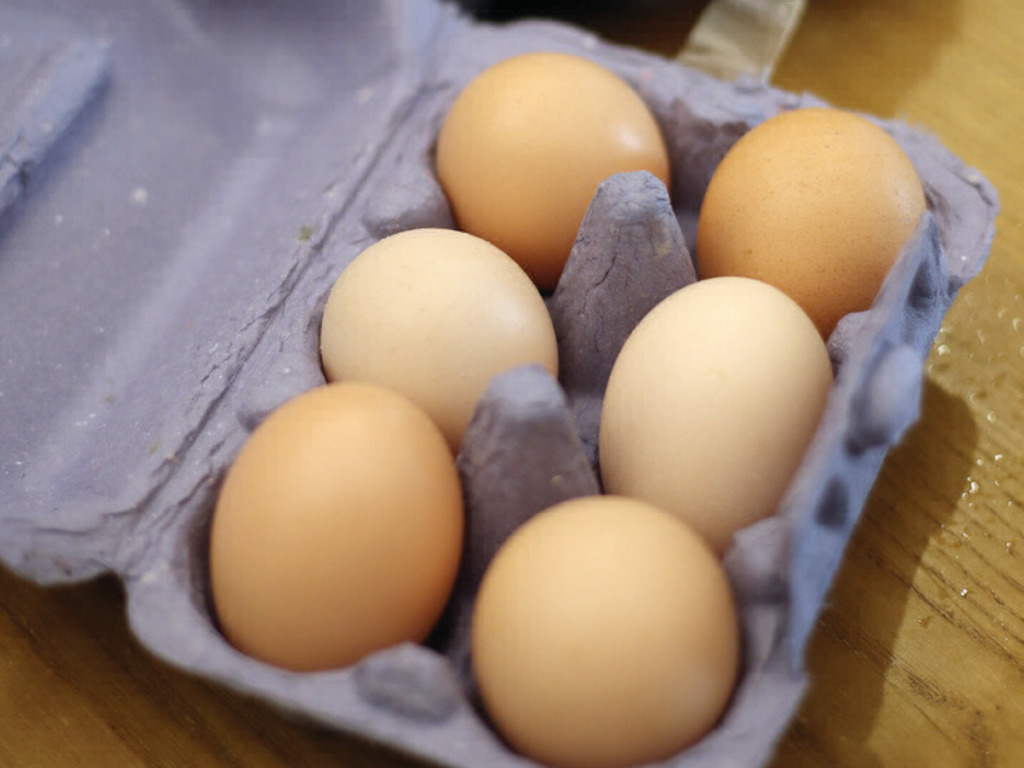 市面半數雞蛋含雌激素可降生殖力！【附安全雞蛋清單】