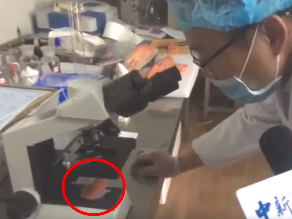 中國「檢測員」化驗國產三文魚連顯微鏡也用錯！網民震驚：化驗太假了