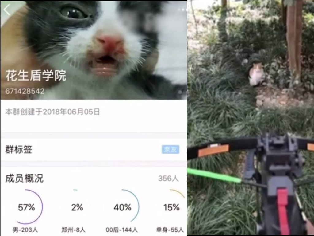 中國虐殺動物片買賣群組橫行！手段愈狠毒愈受歡迎