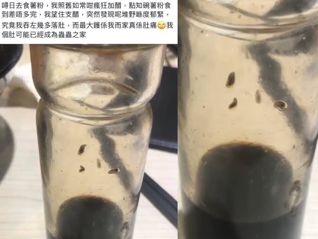 薯粉店調味醋竟爬著生猛蟲蟲！網民抽水：Extra 蛋白質
