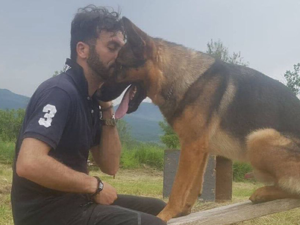 意大利「救人英雄犬」被毒死惹公憤！網民：可怕的人類