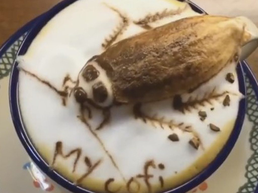 【睇片】蟑螂拉花立體咖啡 網民：好核突呀！