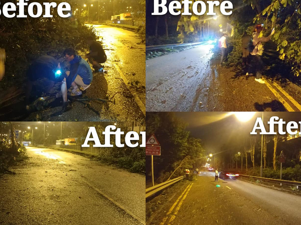 颱風山竹摧毀香港「馬鞍山之友」群組義工 自發到公路清理倒塌大樹