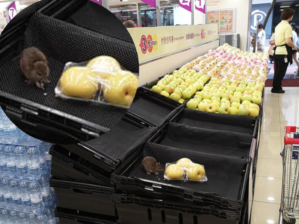 老鼠橫行超市員工「休閒面對」被公審！網民抽水：香港人要互諒互讓