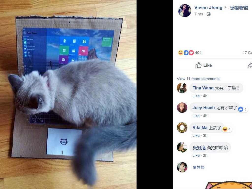 貓用紙皮 MacBook DIY！避免「主人」霸佔 Notebook 新方法