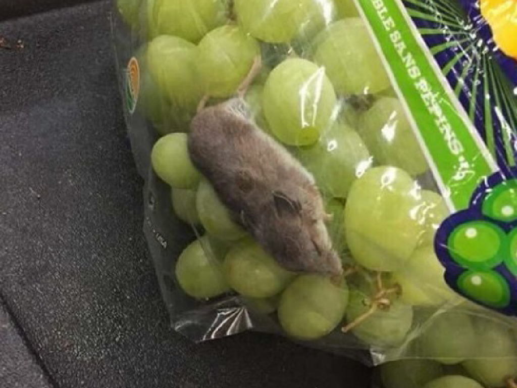 超市袋裝提子「送」米奇！網民：菩提本無鼠，何處惹塵埃？