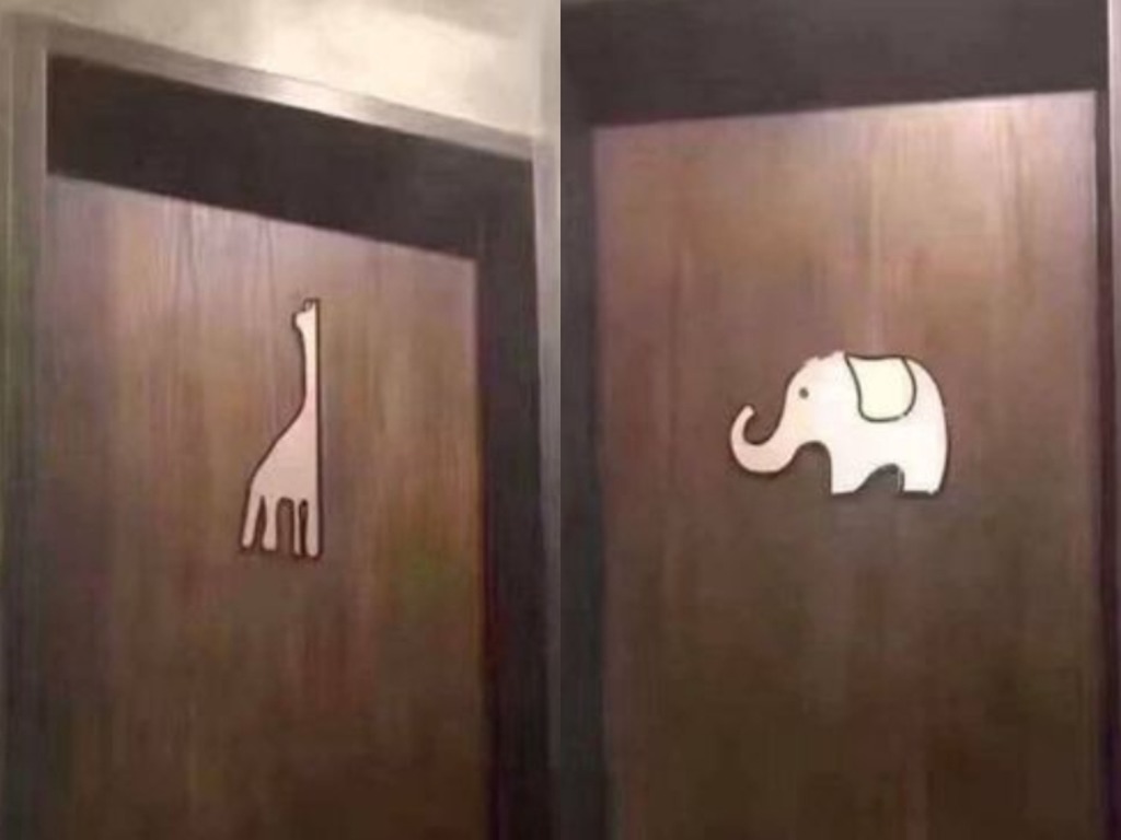 大象定長頸鹿才是男廁？ 台灣洗手間門口驚現神奇標示