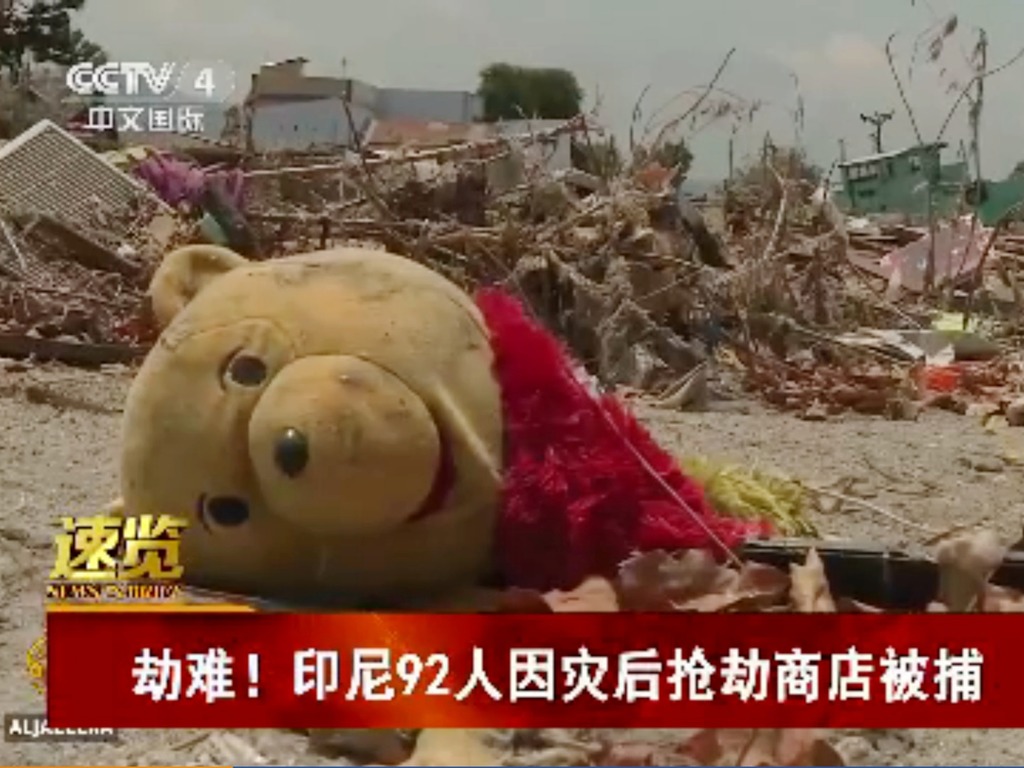 印尼海嘯央視播小熊維尼斷頭片段！網民：剪接的還活著嗎？