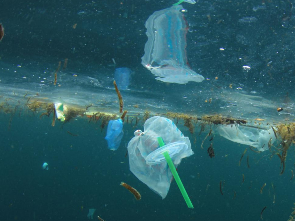 歐盟國家大比數通過「走塑」議案！望 2021 年前禁用即棄塑膠製品