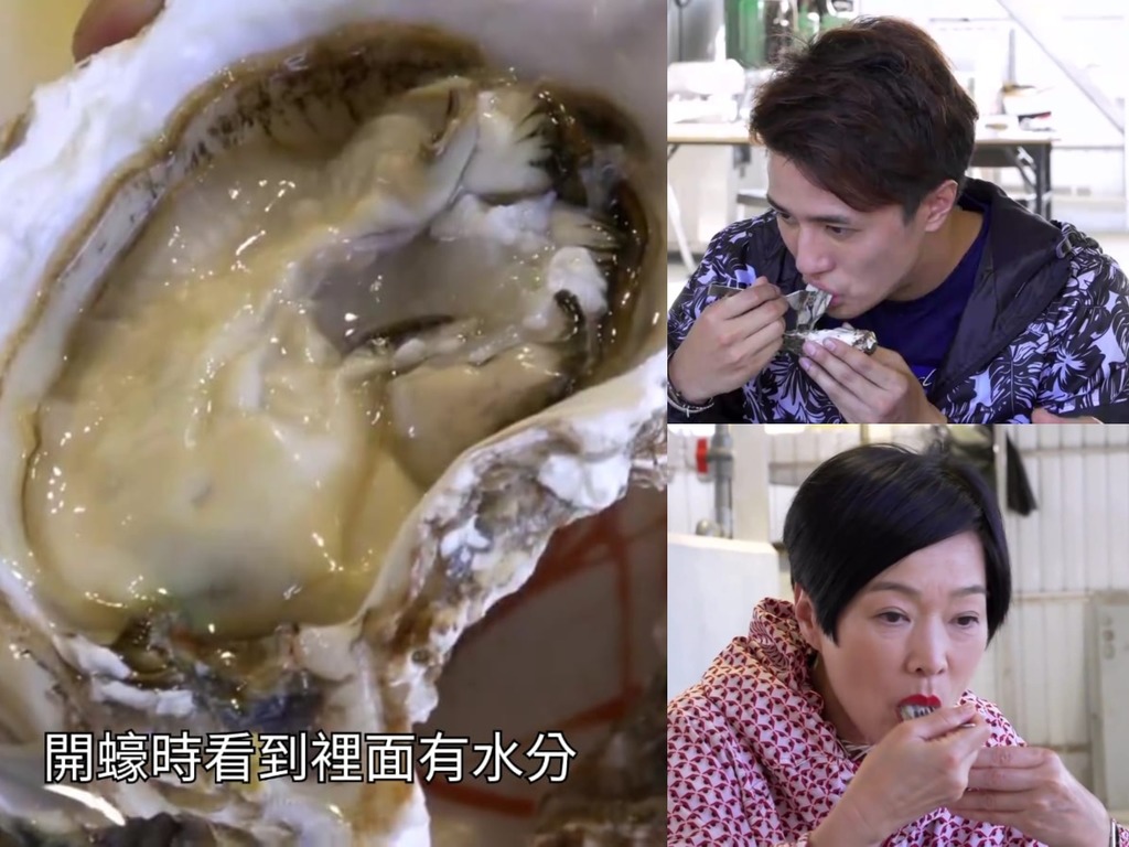 香港原味道譚玉瑛介紹即開即食流浮山生蠔！網民：TVB 成日推廣錯嘅事物