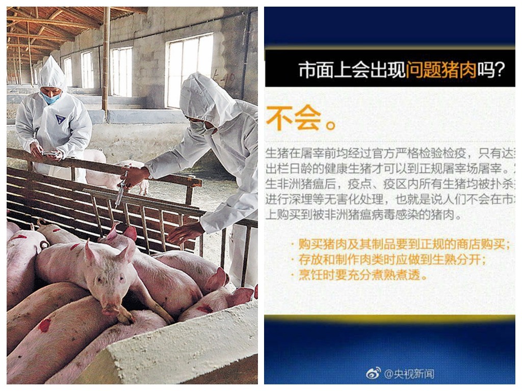 中國多個省份爆非洲豬瘟 央視：可安心食用