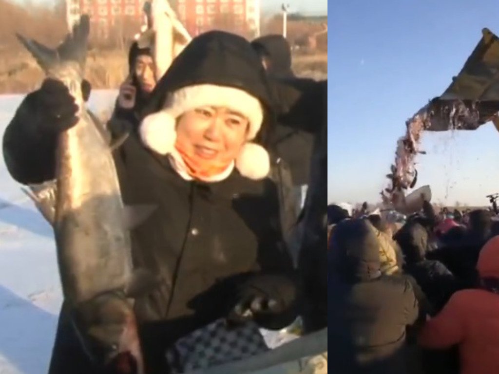 數千内地遊客雪中搶魚場面震撼！網民：要魚不要命