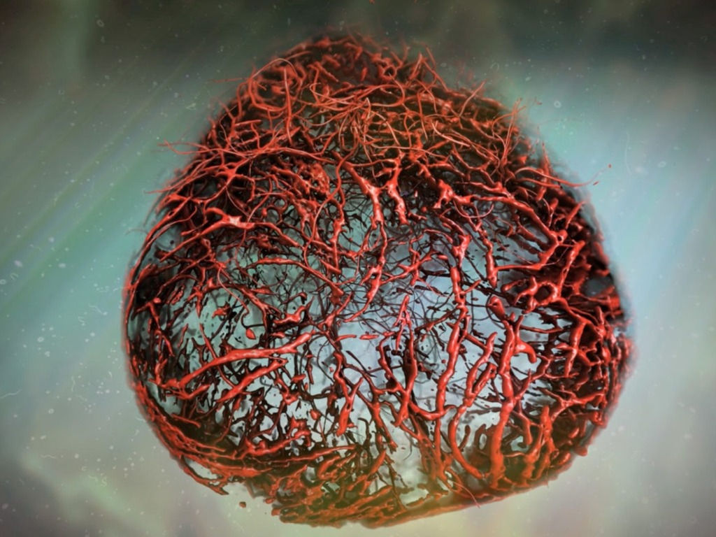 奧地利科學家成功培植完美 3D 人體血管模型 對抗心血管疾病有法
