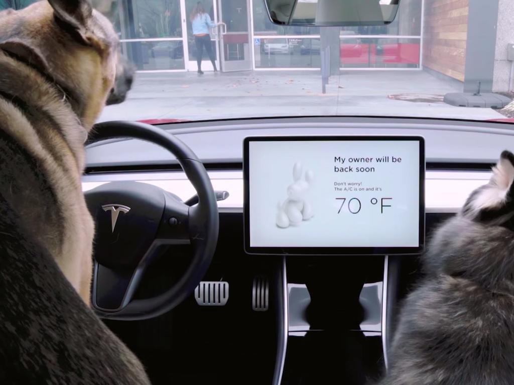 Tesla 電動車增設「狗狗模式」