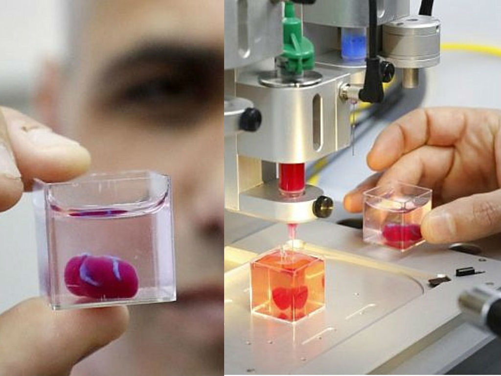 【全球首例】以色列成功藉 3D 打印技術打印人工心臟