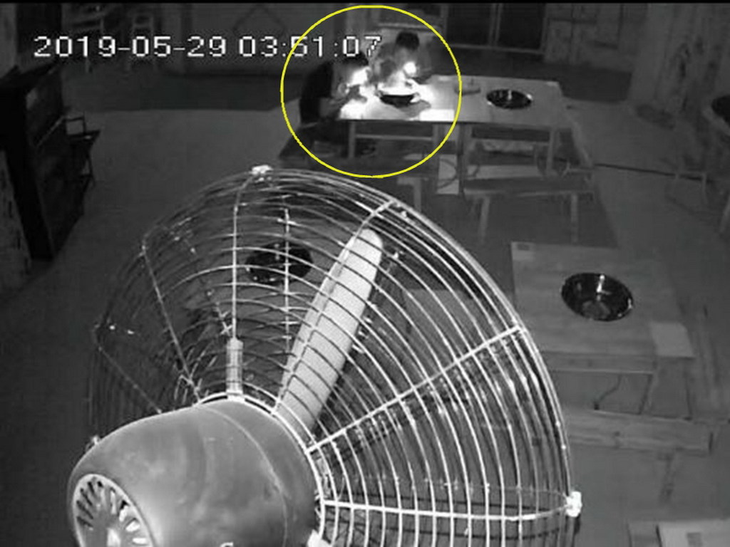 男子潛入火鍋店偷食 3 晚兼收拾洗碗！因一件物品「斷正」被揭發