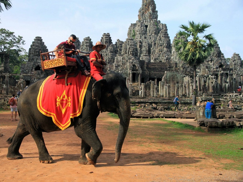 柬埔寨吳哥窟 2020 年禁大象載客 將回歸半自然環境生活