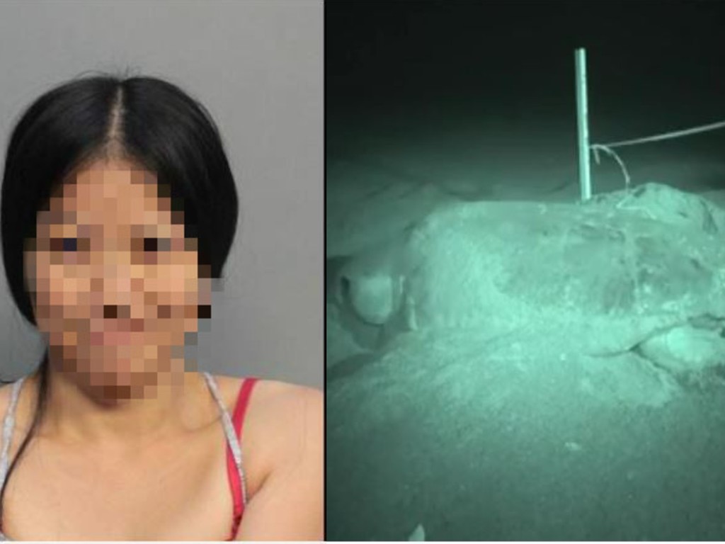 闖邁阿密保護區踩海龜巢 居美華裔女子被捕