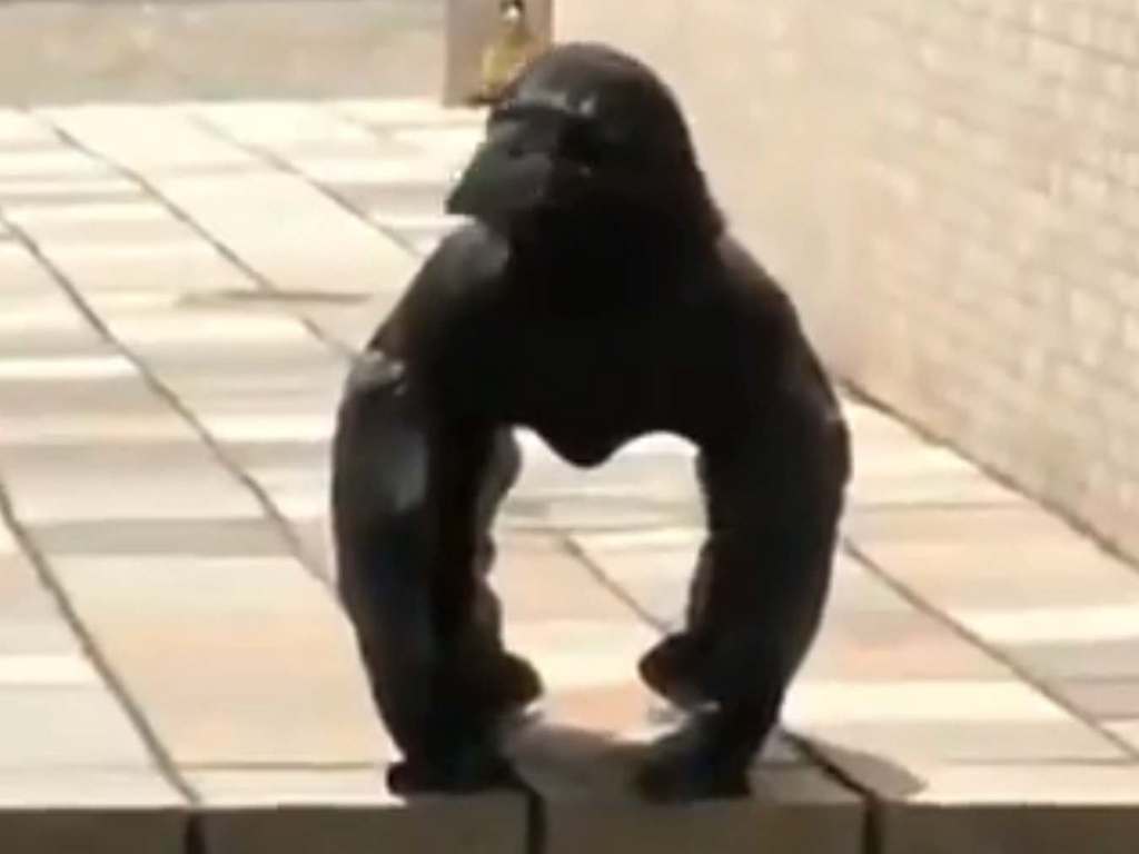 日本網民上傳「大猩猩烏鴉」影片引發改圖熱潮