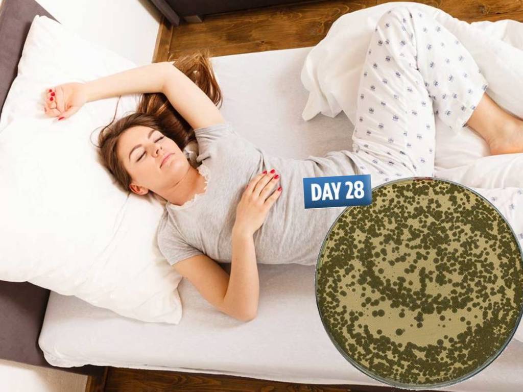 整個月不洗床單細菌可致淋病肺炎？專家：兩星期要換一次