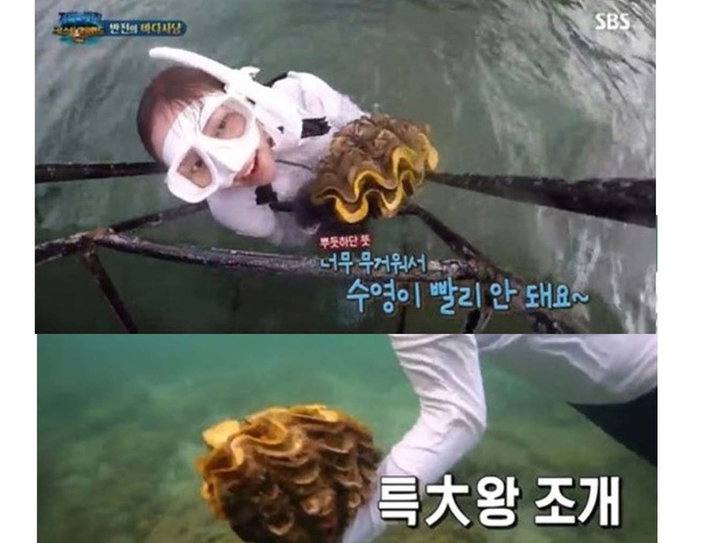 【叢林的法則】韓女星李烈音涉捕食瀕危巨蚌  遭泰國起訴或判 5 年監禁