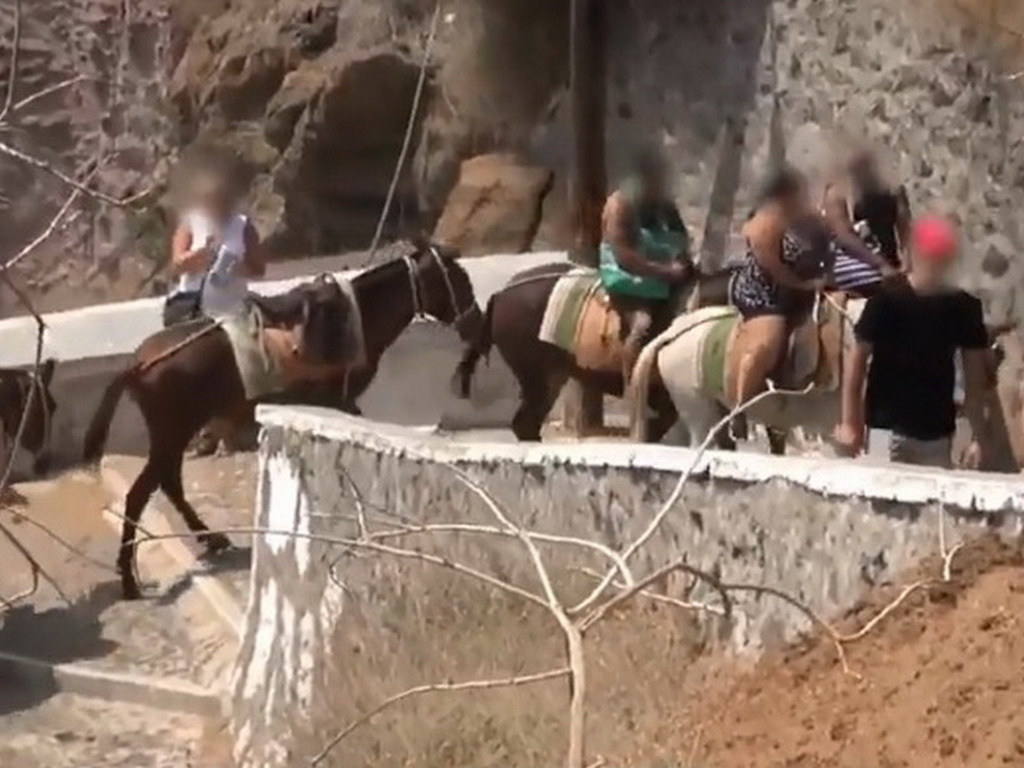 希臘驢仔全日無停手？被迫日載客晚載垃圾 