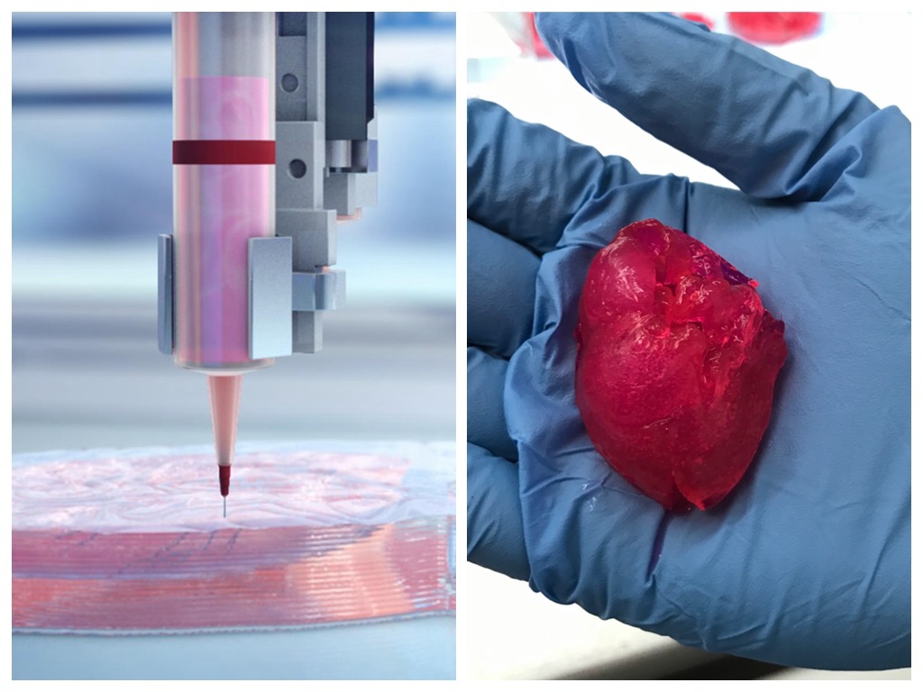 美國 BIOLIFE4D 宣布成功 3D 打印人類心臟