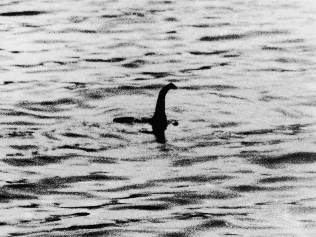 科學家解開尼斯湖水怪千年之謎？環境 DNA 證「真身」