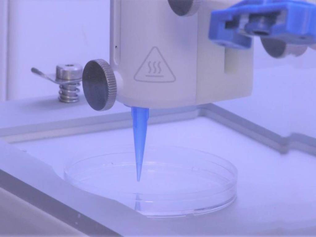 美國成功研發具血管人造皮膚！用 3D 打印能與人類皮膚「結合」