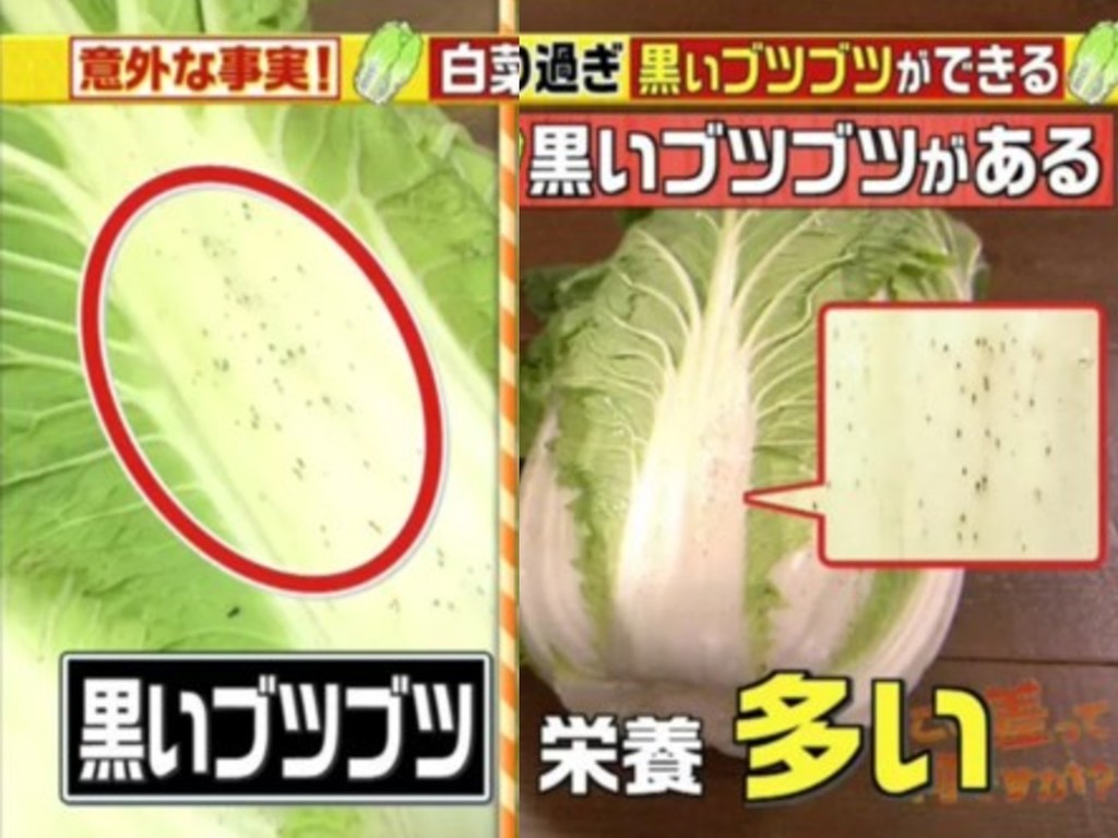 【冷知識】大白菜有黑點反而更有營養？