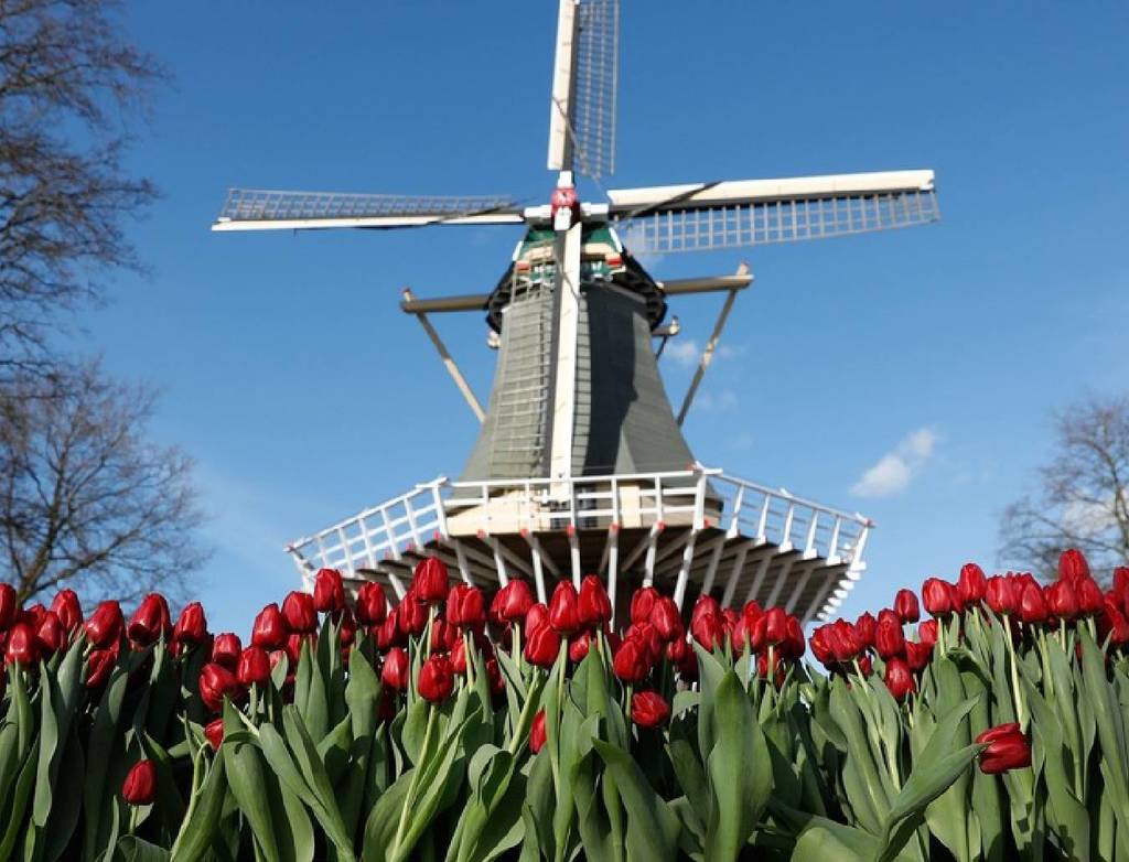 荷蘭將正名為「Netherlands」！摒棄「Holland」發展旅遊業