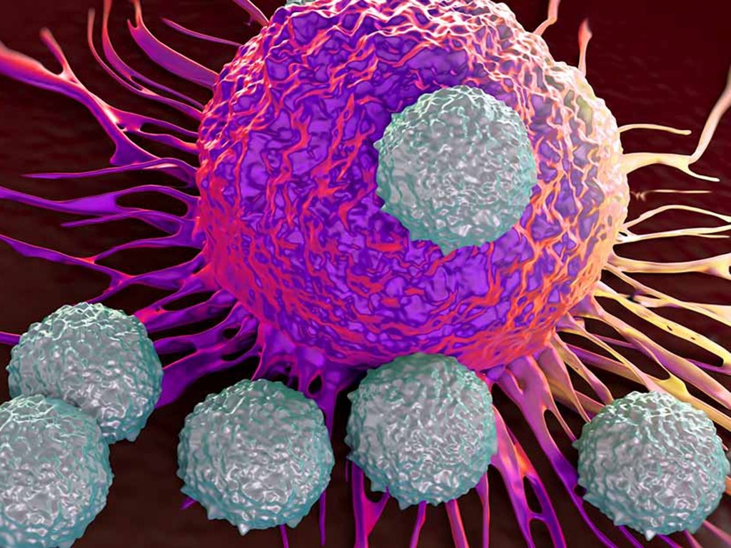 英國科學家研免疫細胞療法 有望治療所有癌症