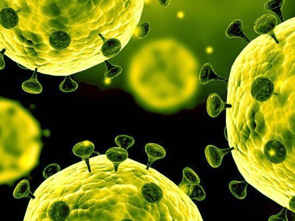【武漢肺炎】澳洲成功培植出新型冠狀病毒！有望研發快速測試及疫苗