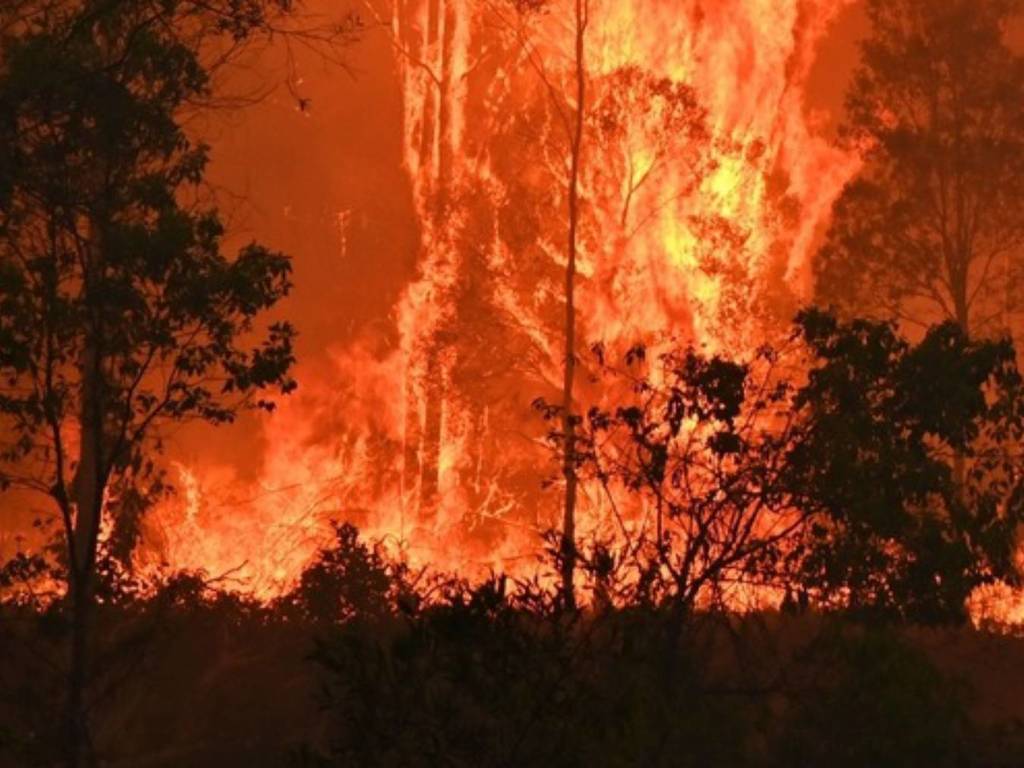 澳洲連場大雨發揮效用！新南威爾斯州山火有望本週內受控
