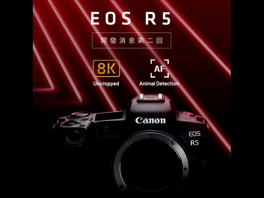 Canon EOS R5 支援動物偵測 AF、8K 短片攝錄 