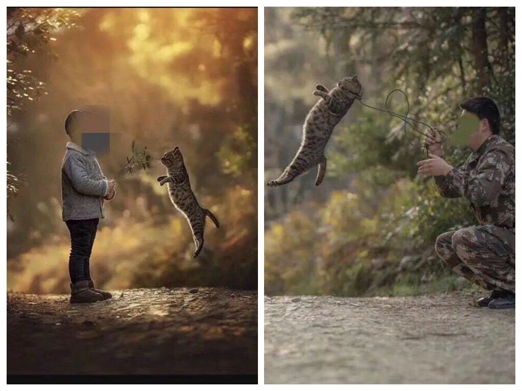 為拍唯美「溫馨」照以繩勒貓頸 中國攝影師被質疑虐待動物