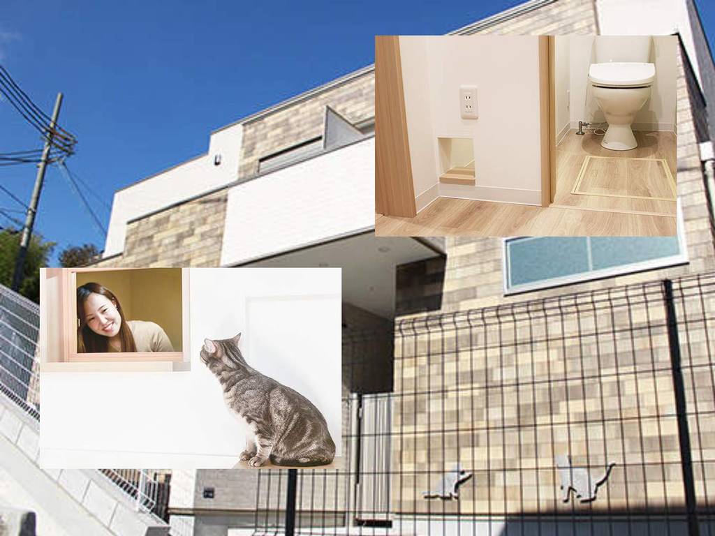 日本地產商推出養貓專用「貓奴公寓」！被貓貓監視也幸福？