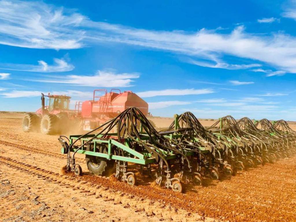 【新冠肺炎】中國研向澳洲大麥徵關稅作反制！ 農民紛紛轉行種小麥