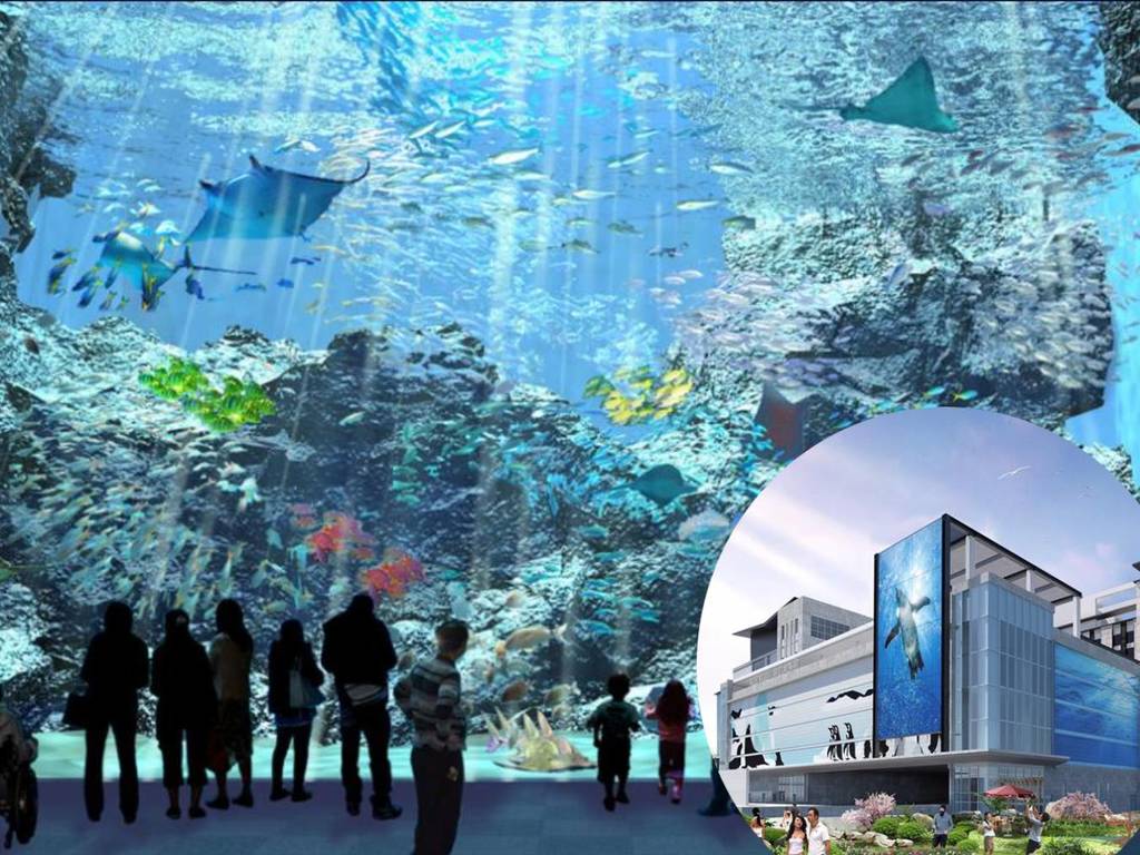 日本海外水族館 Xpark 夏季落戶台灣桃園  4 層玻璃觀景區正過海洋公園？