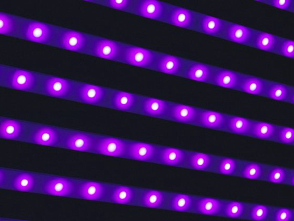 日本研究新發現 深紫外線 LED 可抑制新冠肺炎病毒
