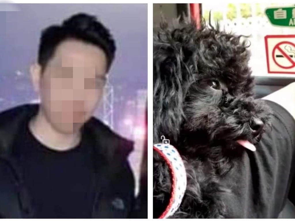 租客不滿貴婦犬瀨尿 疑將狗虐打致死