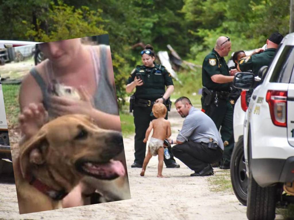 3 歲自閉兒童走入森林失蹤！幸得兩忠犬全程守護終安全獲救