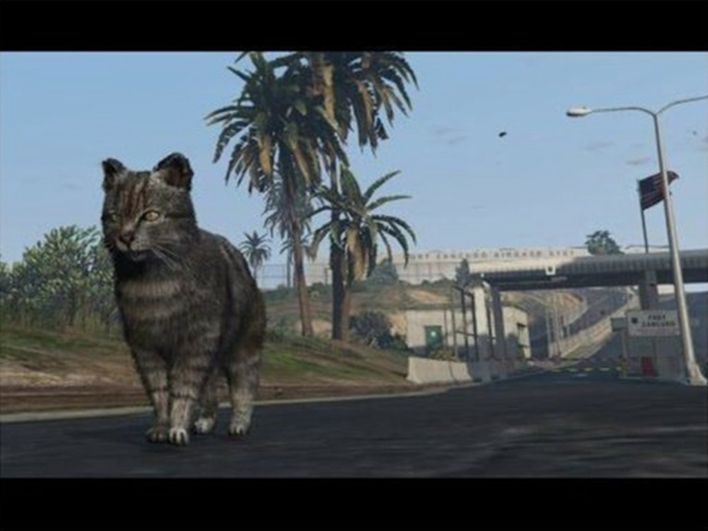 《GTA Online》玩家拒加入外掛隊伍  慘被變成貓半年