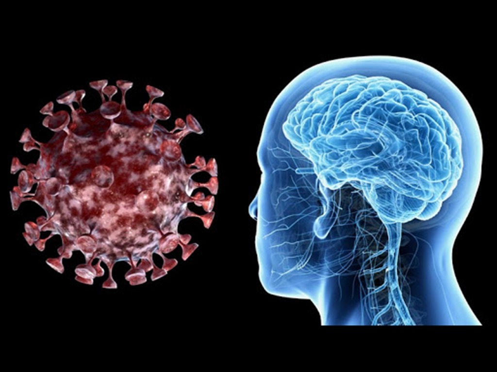 【新冠肺炎】耶魯研究指病毒會入侵腦部  可引發頭痛．神志失常